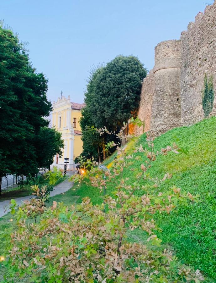 Appartamento Casa Eva con piscina privata Moniga del Garda Esterno foto