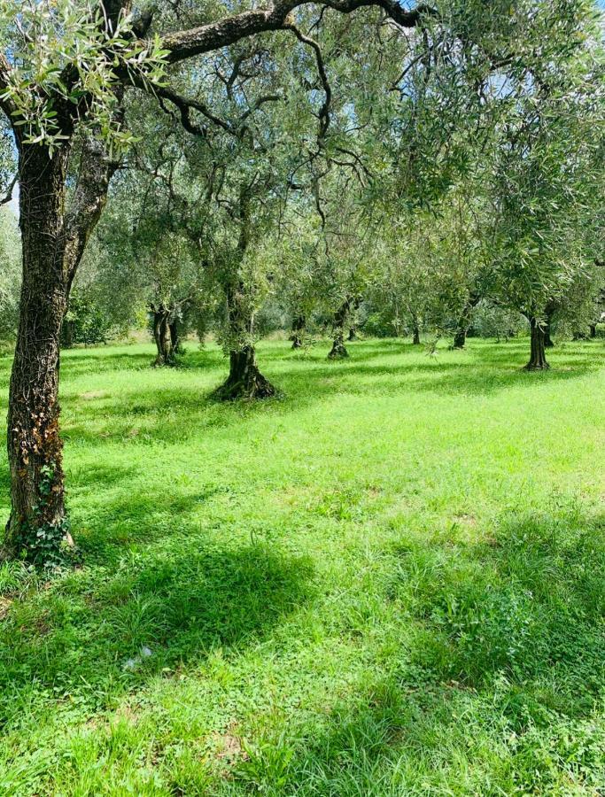 Appartamento Casa Eva con piscina privata Moniga del Garda Esterno foto